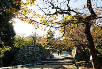2008年日本員工旅遊
