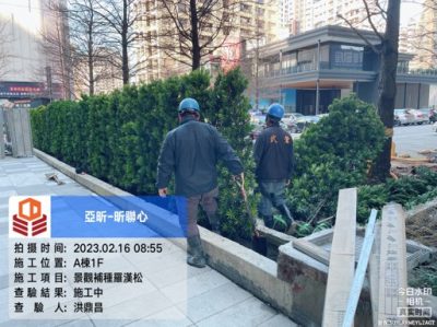 昕聯心