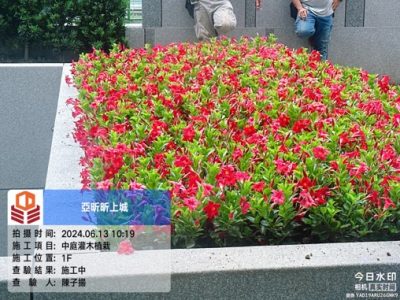 昕上城