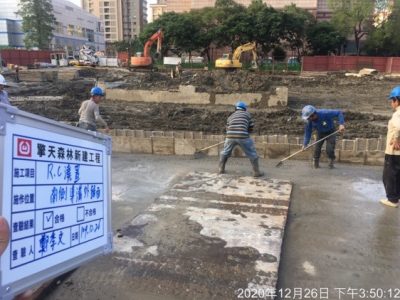 擎天森林