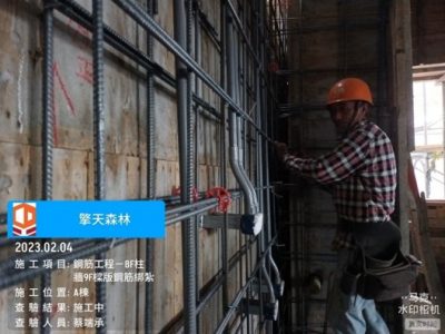 擎天森林