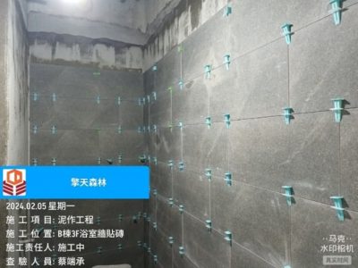 擎天森林