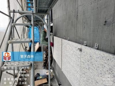擎天森林