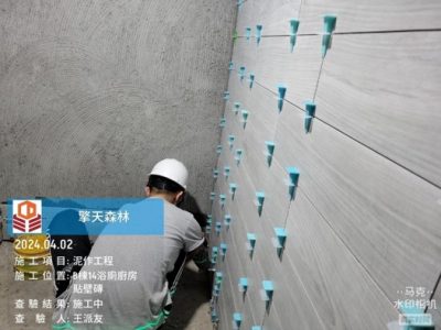 擎天森林