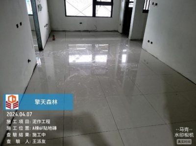 擎天森林