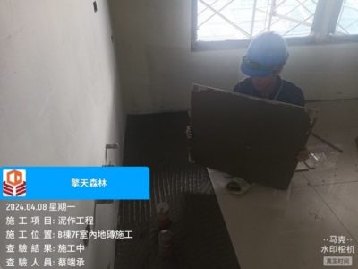 擎天森林