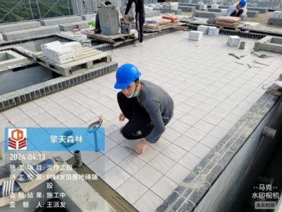 擎天森林