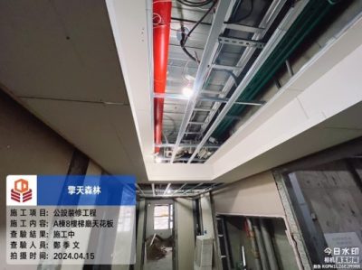 擎天森林