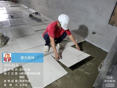 擎天森林