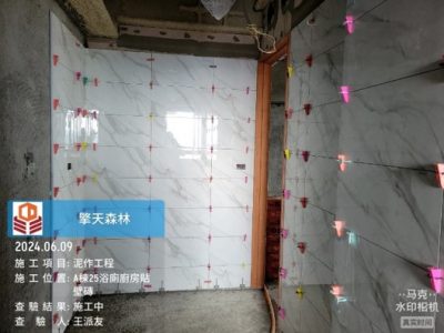 擎天森林