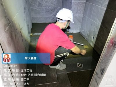擎天森林