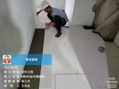 擎天森林