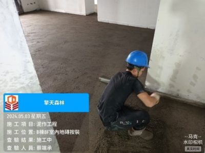 擎天森林
