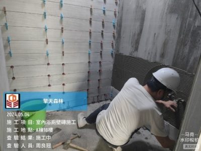擎天森林