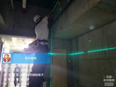擎天森林