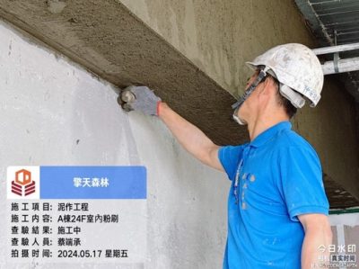 擎天森林