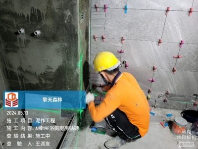 擎天森林