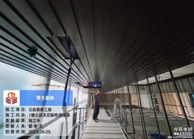 擎天森林