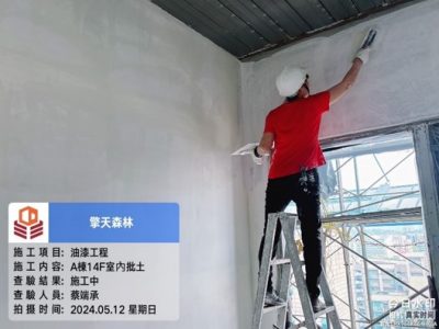 擎天森林