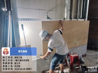 擎天森林