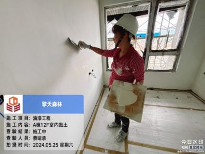 擎天森林