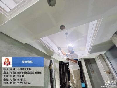 擎天森林