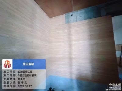 擎天森林