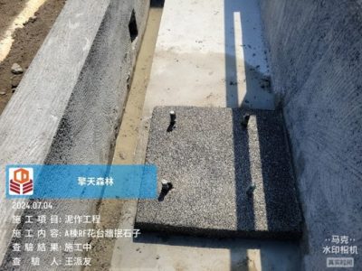 擎天森林