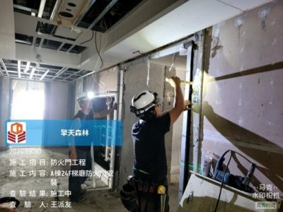 擎天森林
