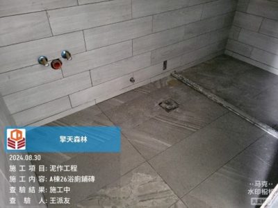 擎天森林