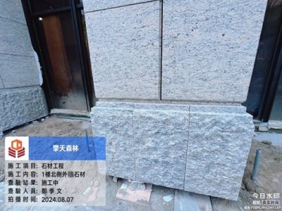 擎天森林