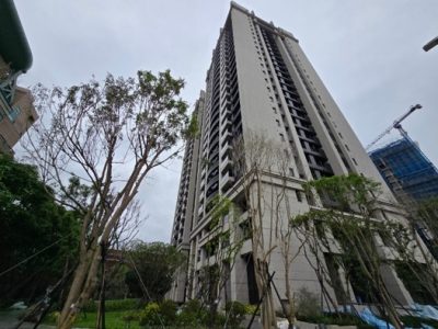 擎天森林