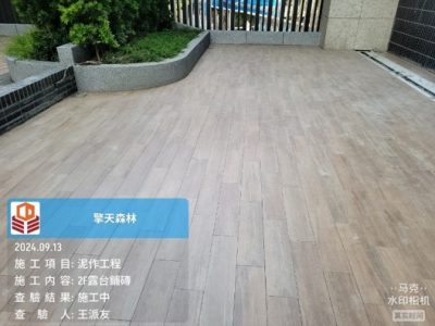 擎天森林