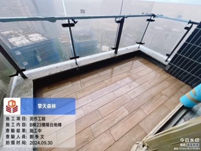 擎天森林