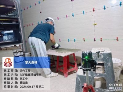 擎天森林