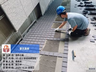 擎天森林