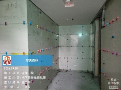 擎天森林