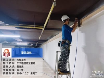 擎天森林
