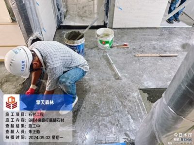擎天森林
