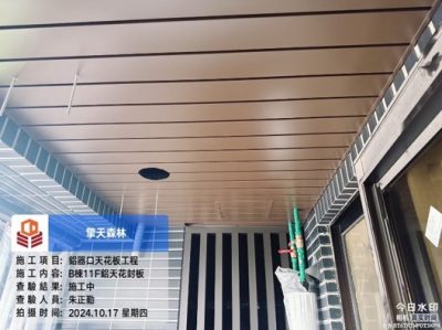 擎天森林