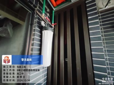 擎天森林