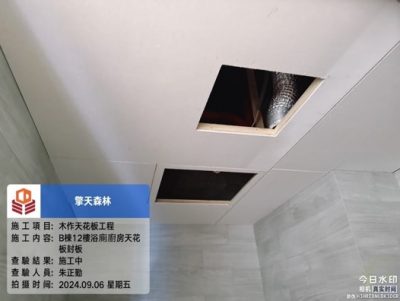 擎天森林