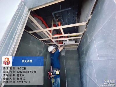 擎天森林