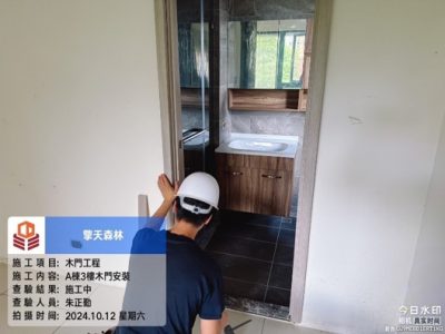 擎天森林