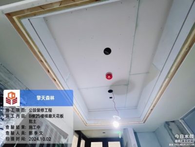 擎天森林