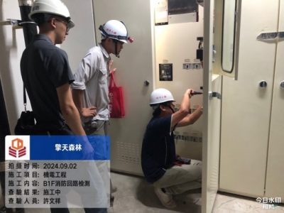 擎天森林
