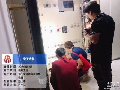 擎天森林