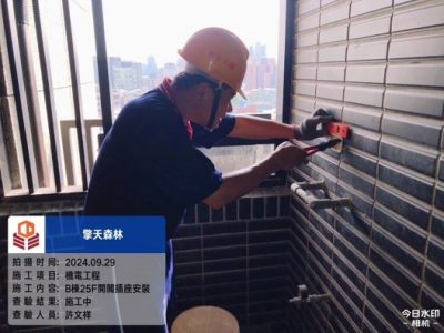 擎天森林