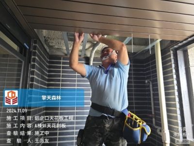 擎天森林
