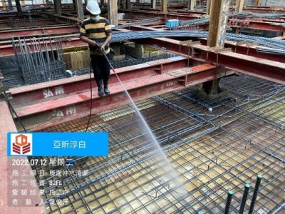 淳白